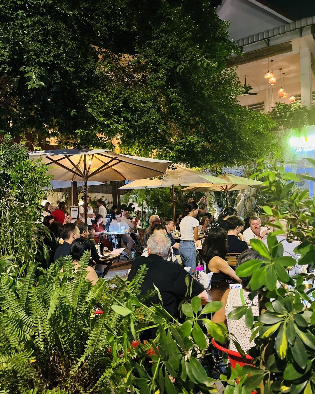 Bellini full garden at night — lush tropical plants and warm lanterns