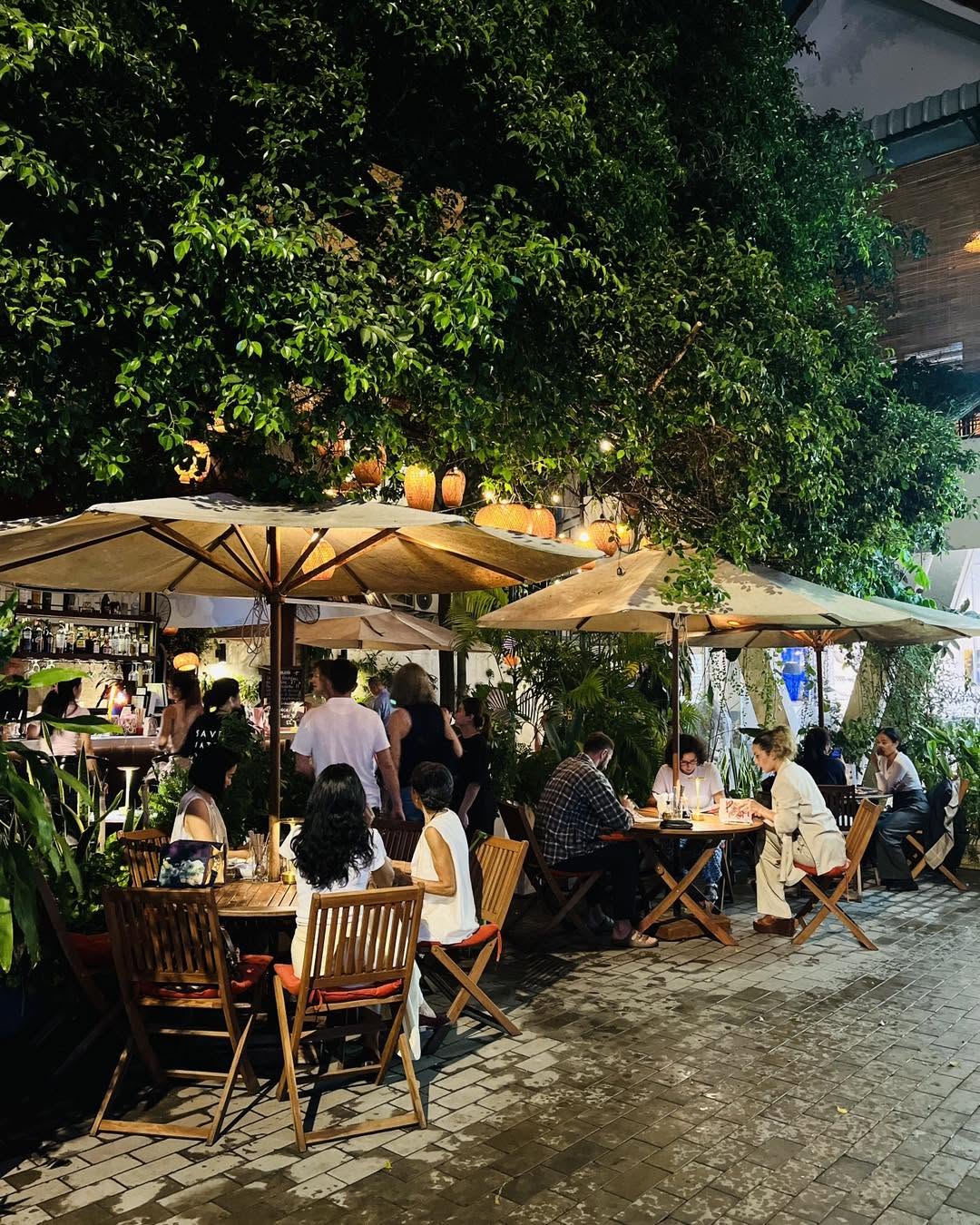 Bellini garden at night with umbrellas and guests dining
